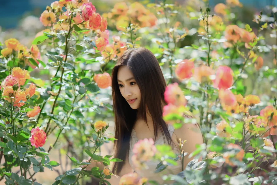Among the Roses