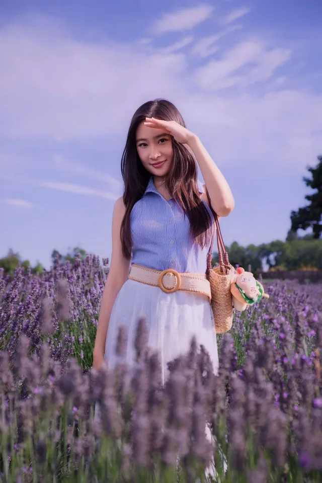Lavender Days