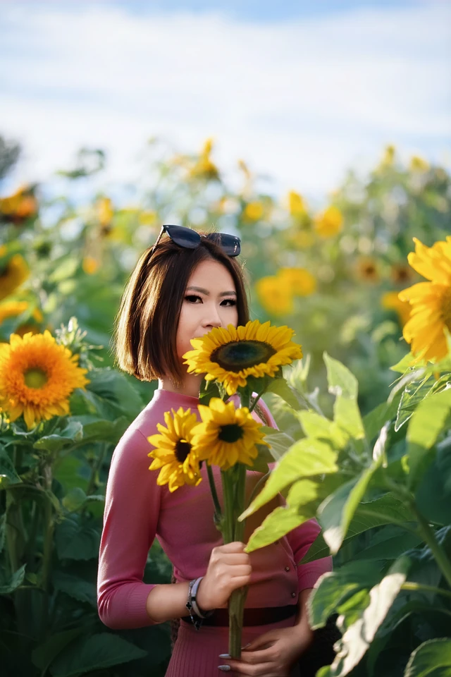 Sunflower Stories