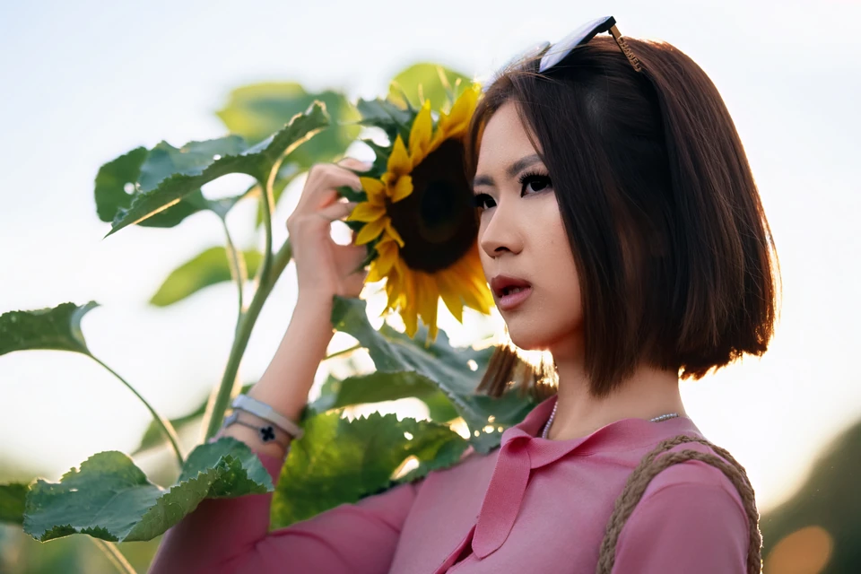 Sunflower Stories